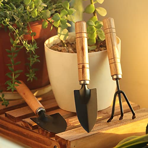 Mini Garden Tool Set (3-Piece)