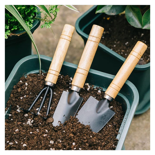Mini Garden Tool Set (3-Piece)